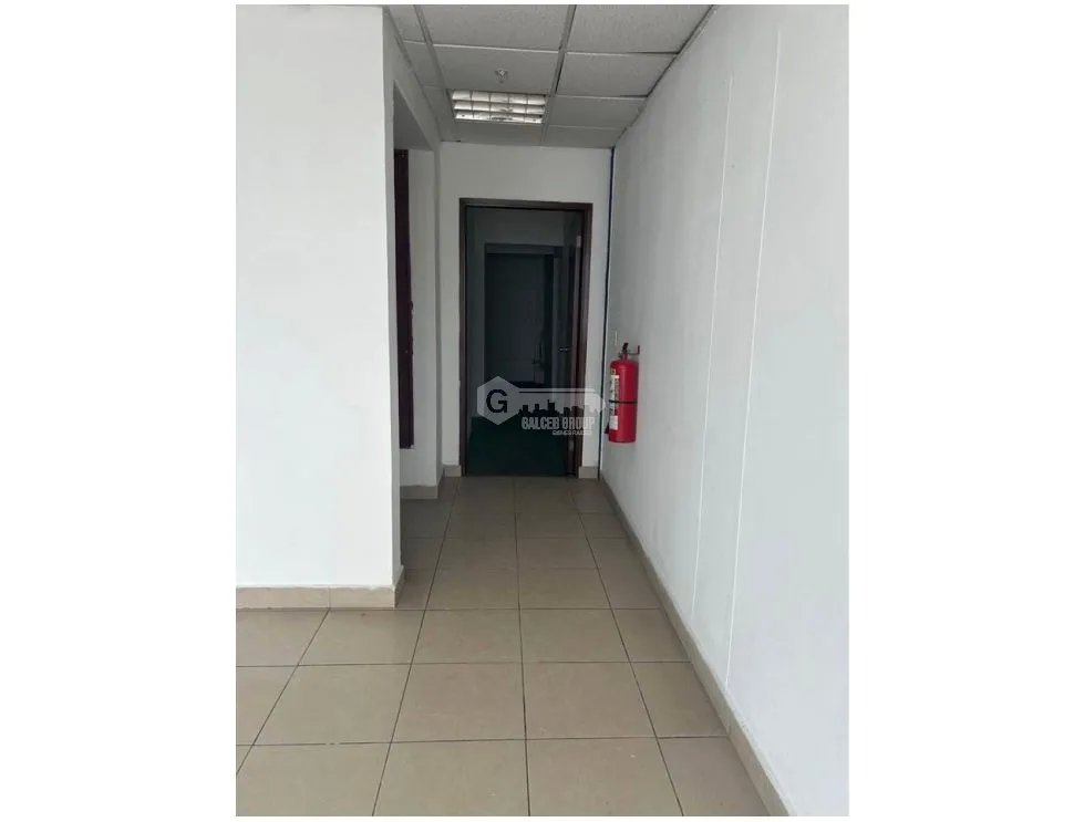 GALERA / MAÑANITAS / TOCUMEN WAREHOUSE PARK / 228M / CON OFICINAS JC
