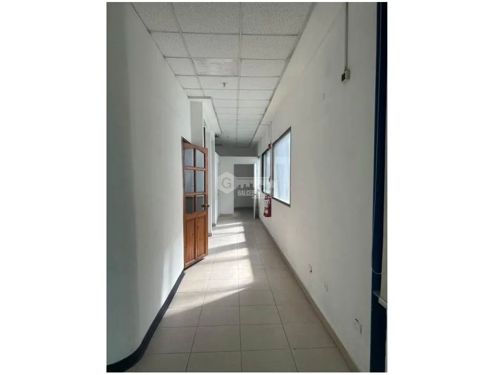 GALERA / MAÑANITAS / TOCUMEN WAREHOUSE PARK / 228M / CON OFICINAS JC