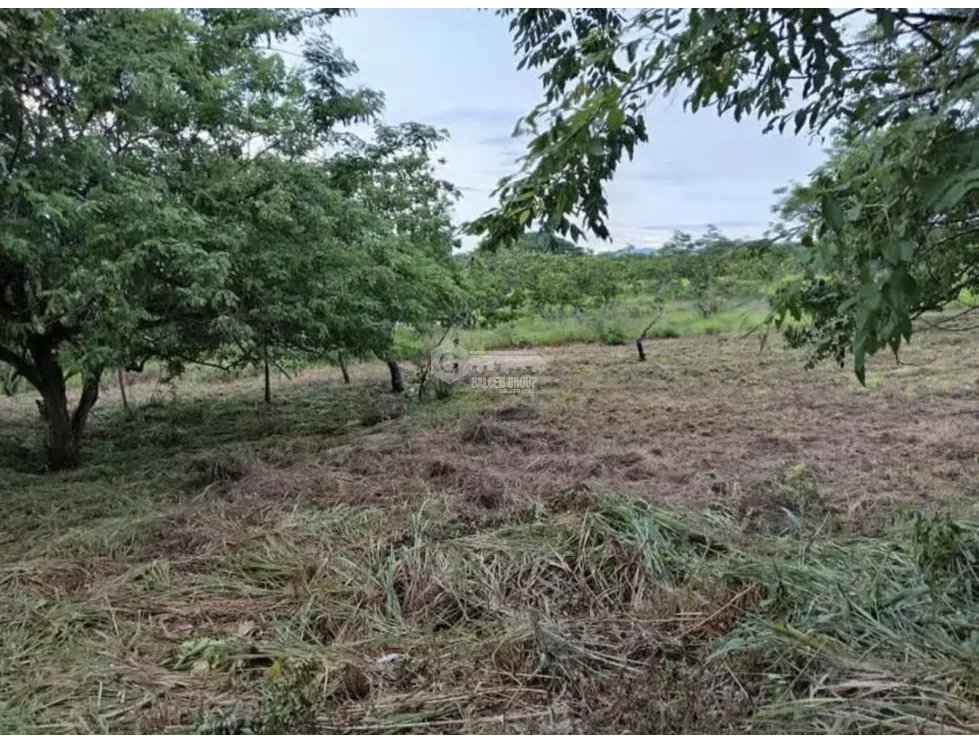 TERRENO / SAN CARLOS / RIO MAR / 1400M / CERCA PLAYA / PLANO JC
