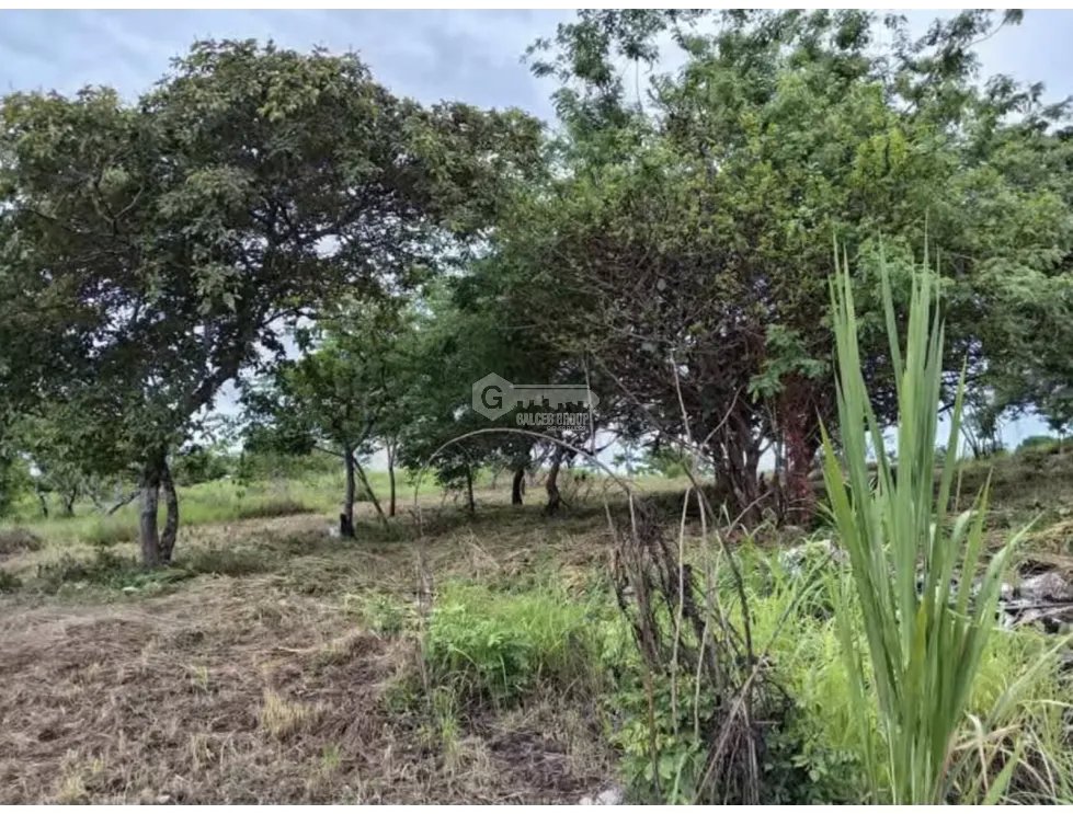 TERRENO / SAN CARLOS / RIO MAR / 1400M / CERCA PLAYA / PLANO JC