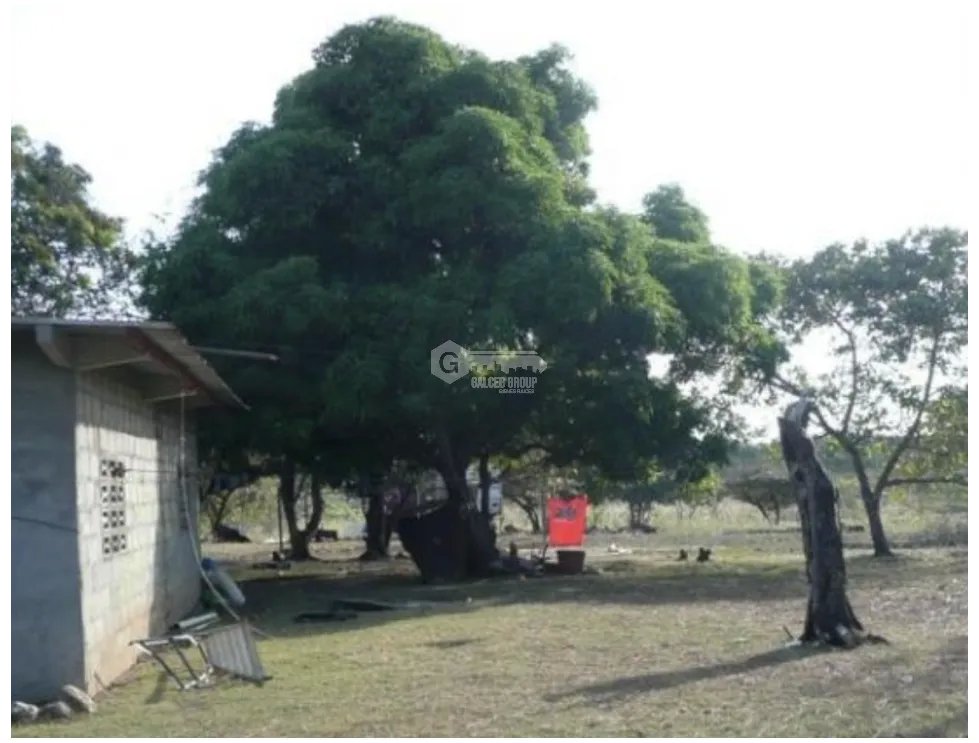 Building Lot for sale in San Carlos