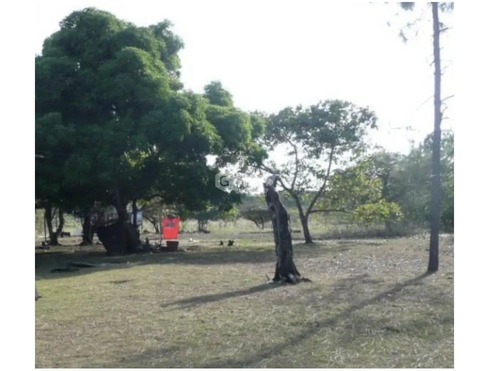Building Lot for sale in San Carlos