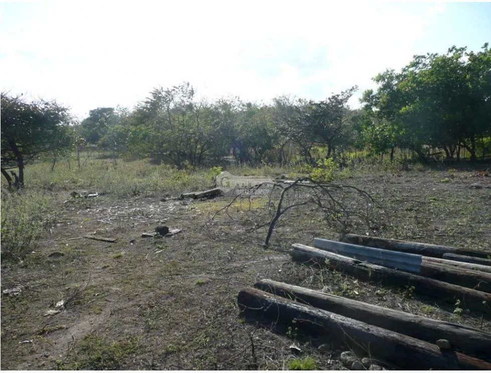 Building Lot for sale in San Carlos