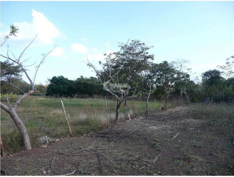 Building Lot for sale in San Carlos