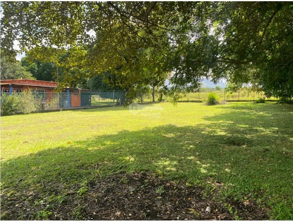 CHAME / NUEVA GORGONA / TERRENO / 1007M  / PLANO / CERCA DE PLAYA