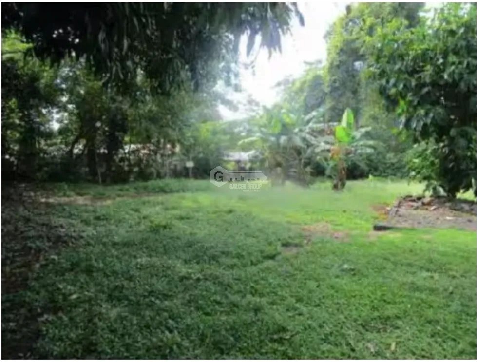 LA CHORRERA / BARRIO COLON / 280M / 4 HABITACION / VIA PRINCIPAL
