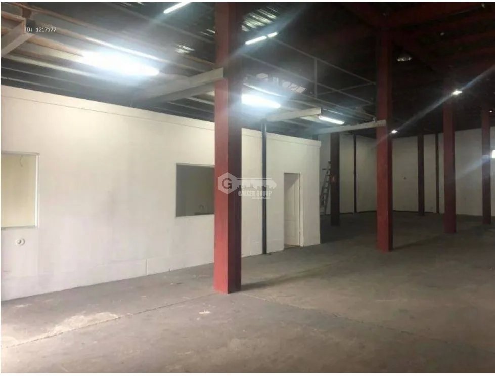 Warehouse for rent in Costa del Este