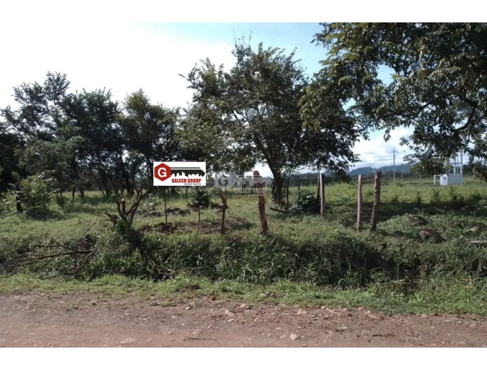 CHIRIQUI / DAVID / LAS LOMAS / 3.5 HECTAREAS / SUPERFICIE PLANA  JC