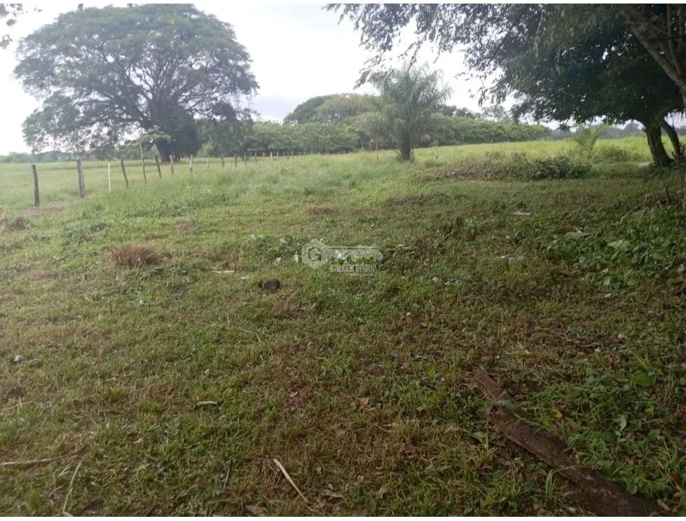 CHIRIQUI / DAVID / LAS LOMAS / 3.5 HECTAREAS / SUPERFICIE PLANA  JC