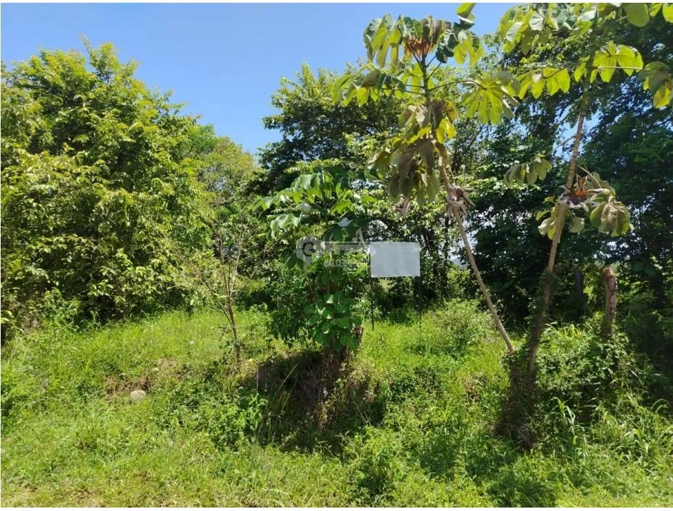 CHIRIQUI / DAVID / LAS LOMAS / 3.5 HECTAREAS / SUPERFICIE PLANA  JC