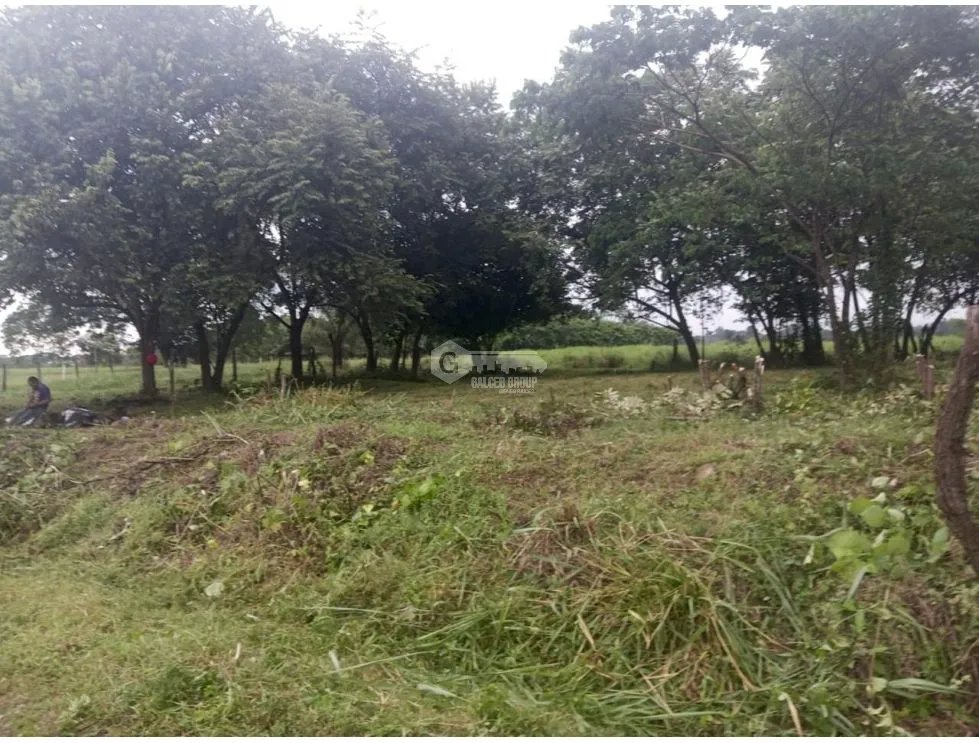 CHIRIQUI / DAVID / LAS LOMAS / 3.5 HECTAREAS / SUPERFICIE PLANA  JC