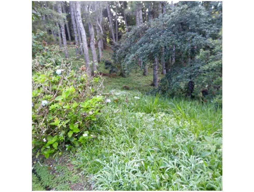 TERRENO / ALTOS DEL MARIA / PIAMONTE / 2432M / PUNTO ALTO