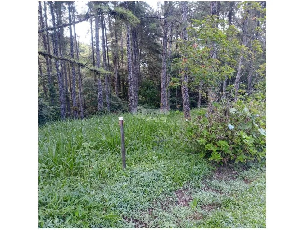 Building Lot for sale in Chame