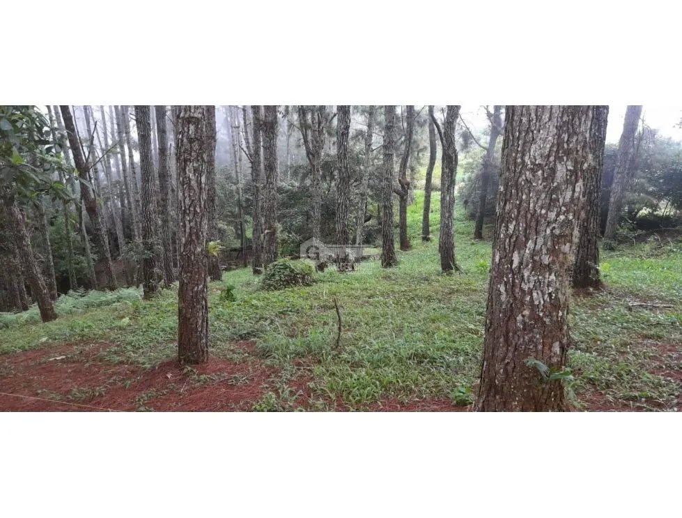 Building Lot for sale in Chame