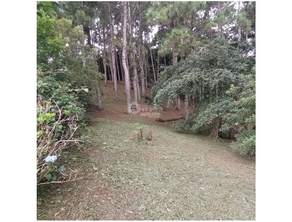 Building Lot for sale in Chame