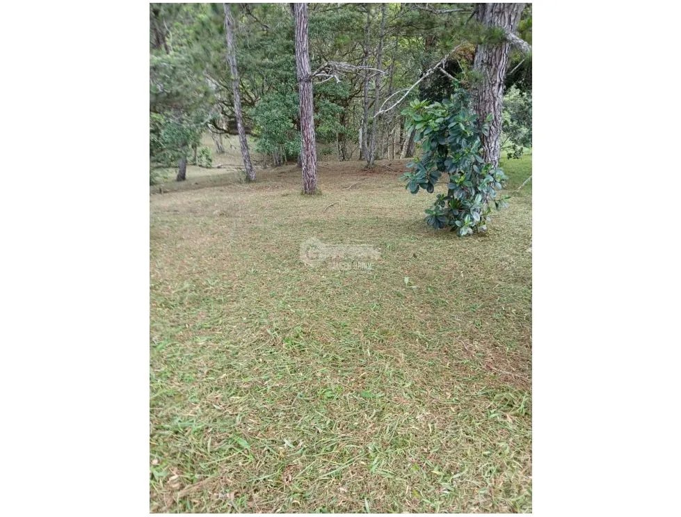 Building Lot for sale in Chame