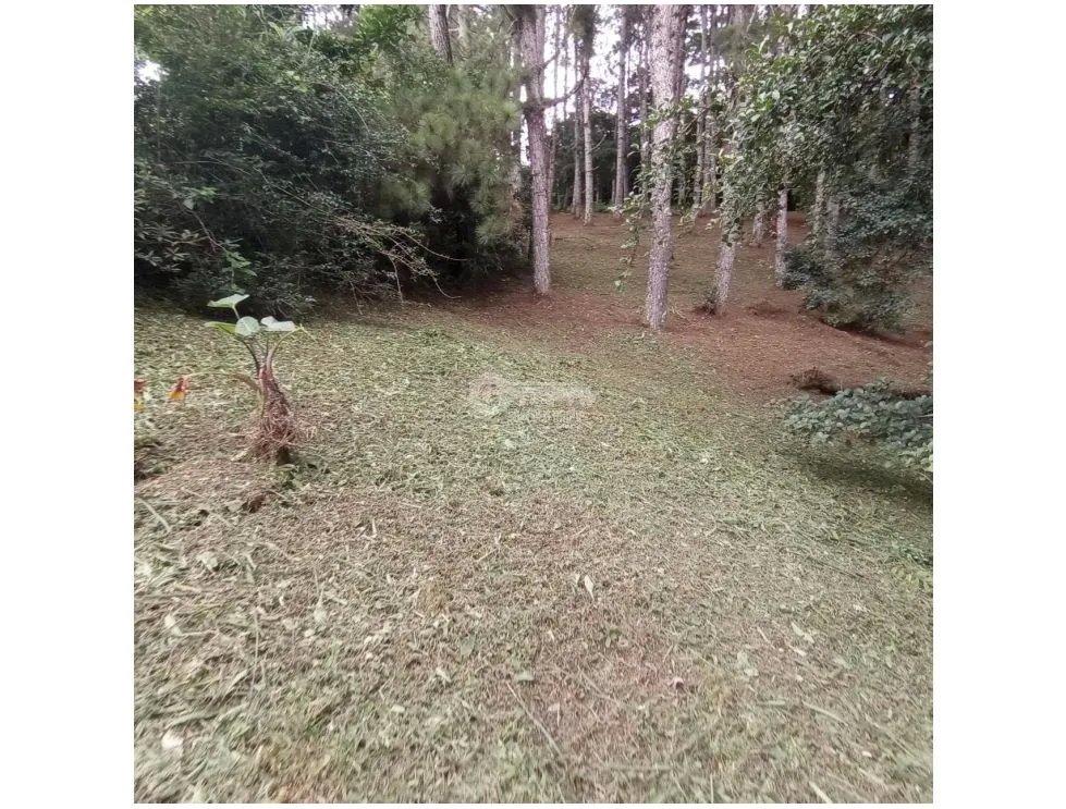 Building Lot for sale in Chame
