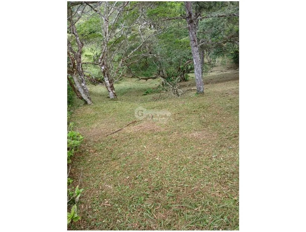 Building Lot for sale in Chame