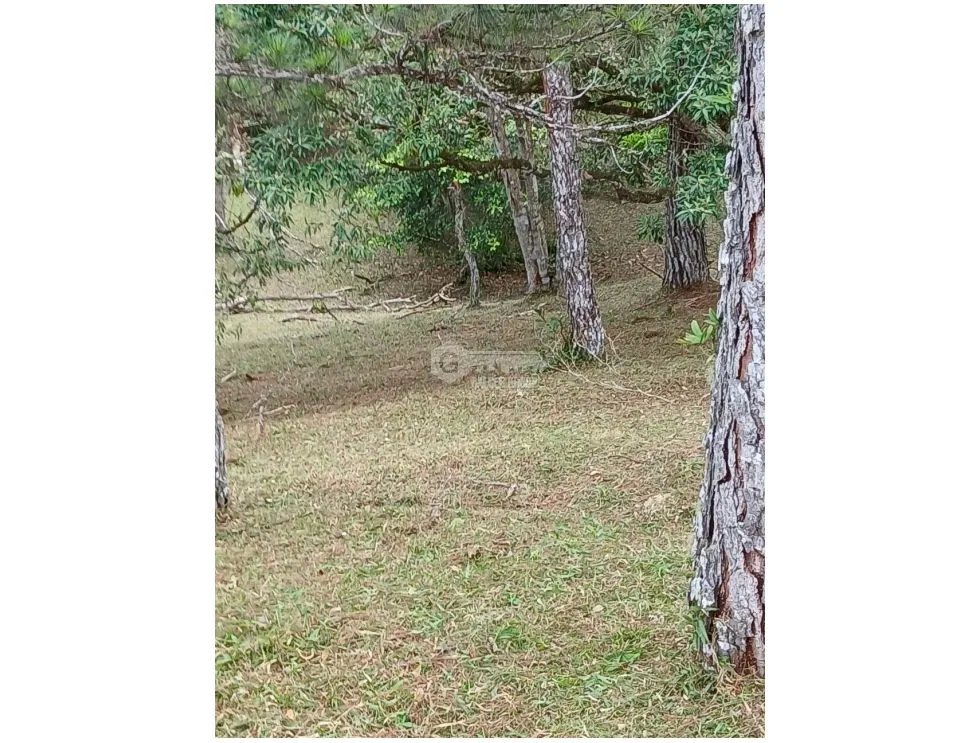 Building Lot for sale in Chame