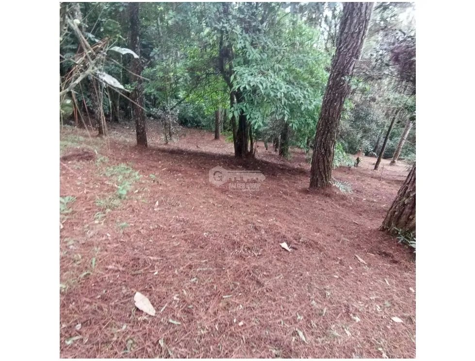 Building Lot for sale in Chame