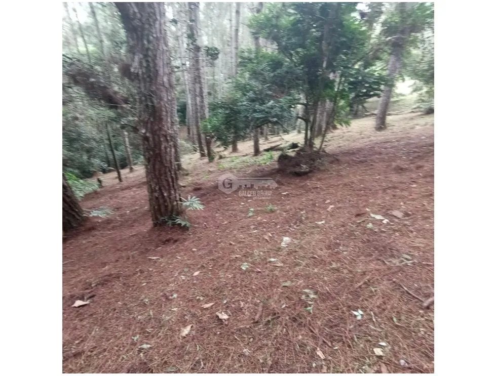 Building Lot for sale in Chame
