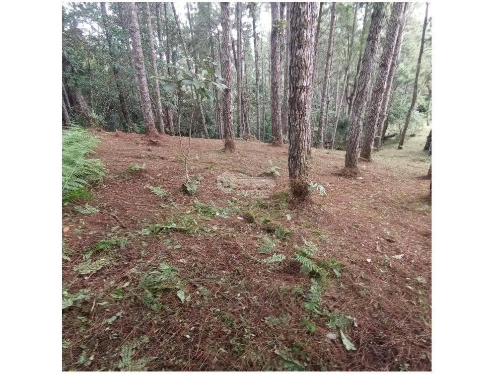 Building Lot for sale in Chame