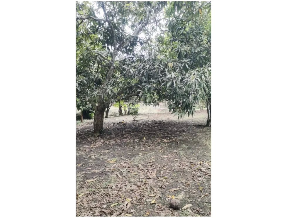 CHILIBRE / AGUA BENDITA / 6000M / 5 HABITACION / TERRAZAS / DUPLEX ED