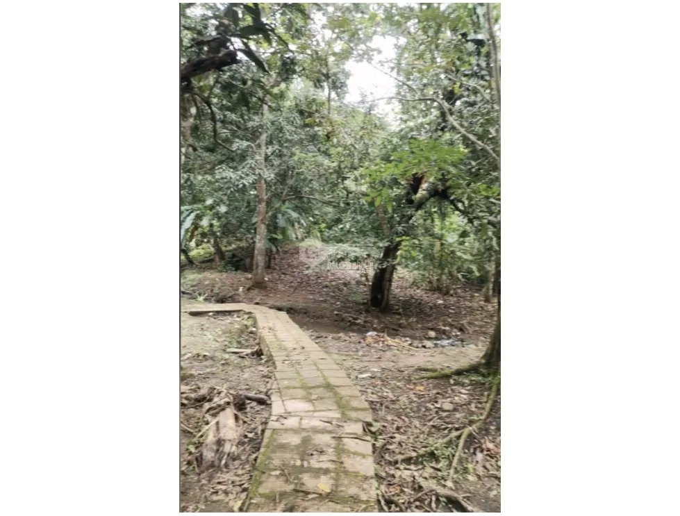 Single Family House for sale in Panama