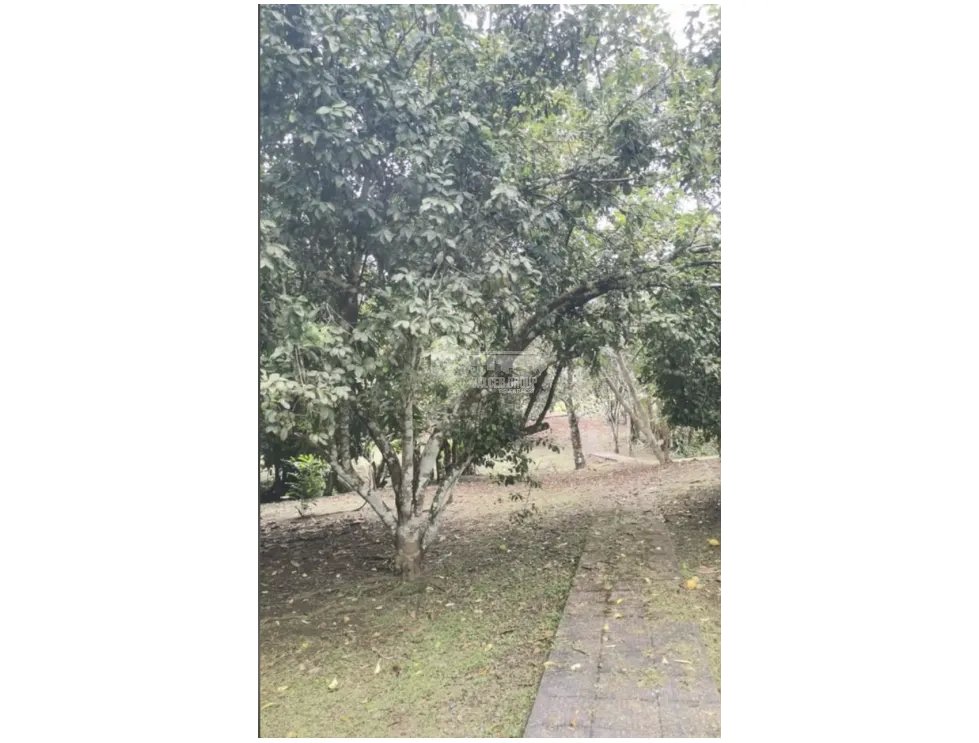 Single Family House for sale in Panama