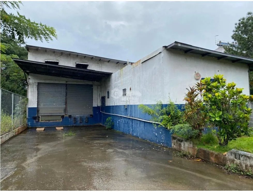 LA CHORRERA / BODEGA / TERRENO / 5,000m / CARRETERA PANAMERICANA MB