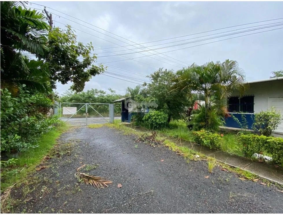 LA CHORRERA / BODEGA / TERRENO / 5,000m / CARRETERA PANAMERICANA MB