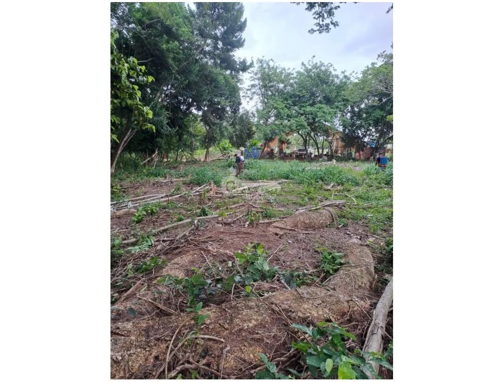 LA CHORRERA / BODEGA / TERRENO / 5,000m / CARRETERA PANAMERICANA MB