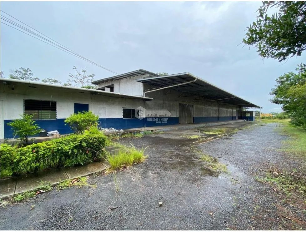 LA CHORRERA / BODEGA / TERRENO / 5,000m / CARRETERA PANAMERICANA MB