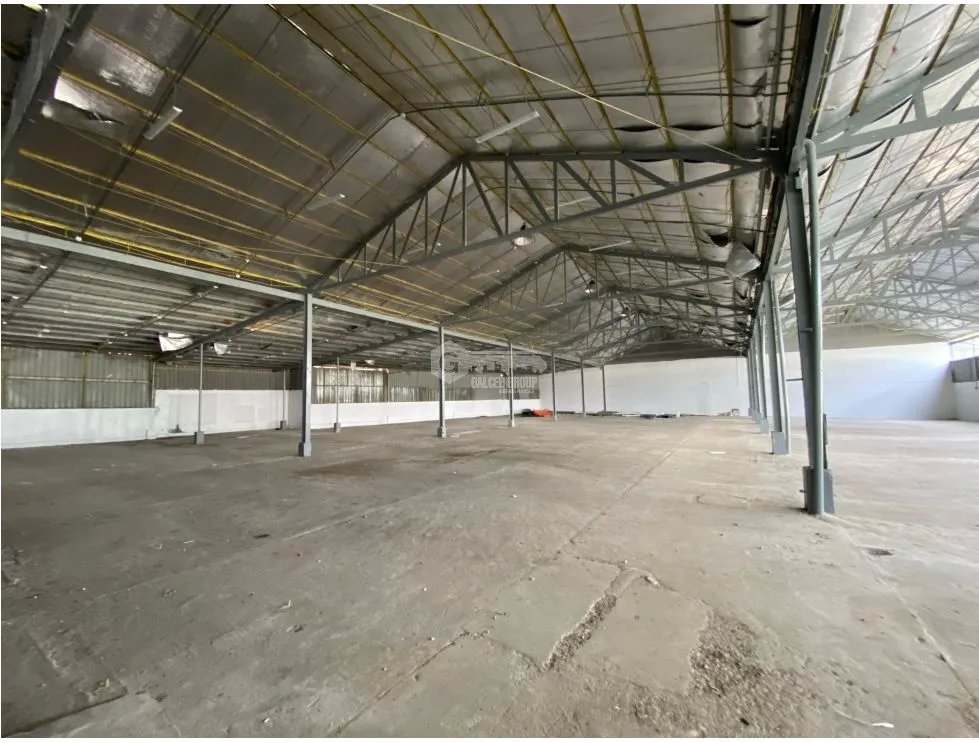 GALERA / TOCUMEN STORAGE COMPLEX / 784M2 / VIA PRINCIPAL / VACIO
