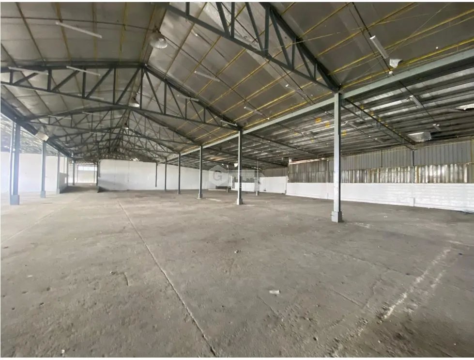 GALERA / TOCUMEN STORAGE COMPLEX / 500 M2 / VIA PRINCIPAL / VACIO