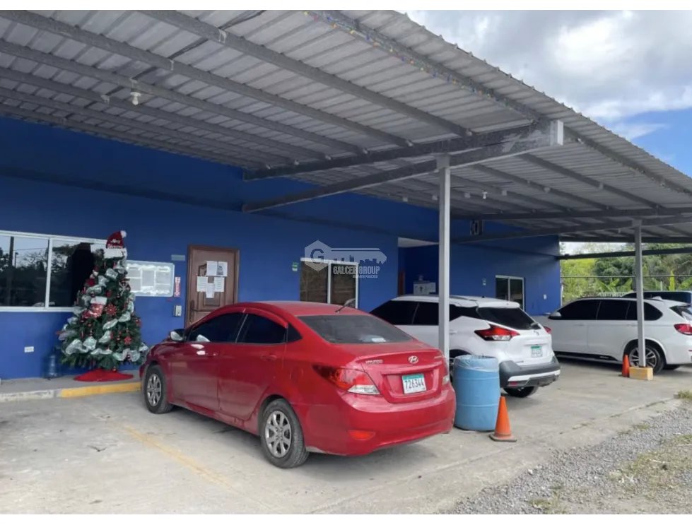 Office for rent in Brisas Del Golf