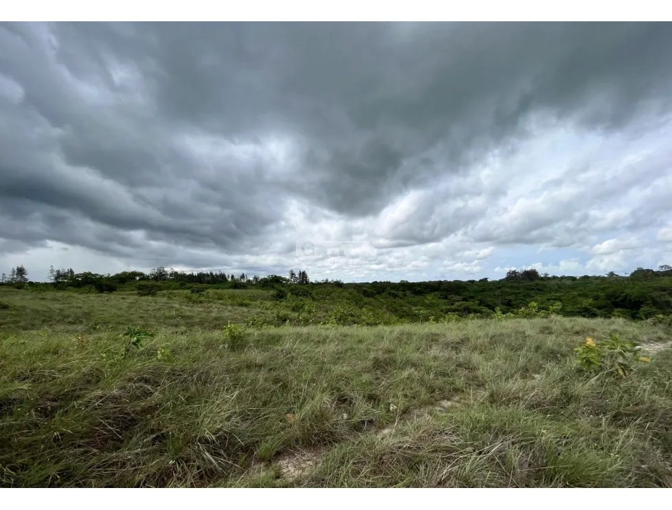 FINCA / COCLE / SANTA RITA / 11HECTAREAS / PLANO CON QUEBRADA JC