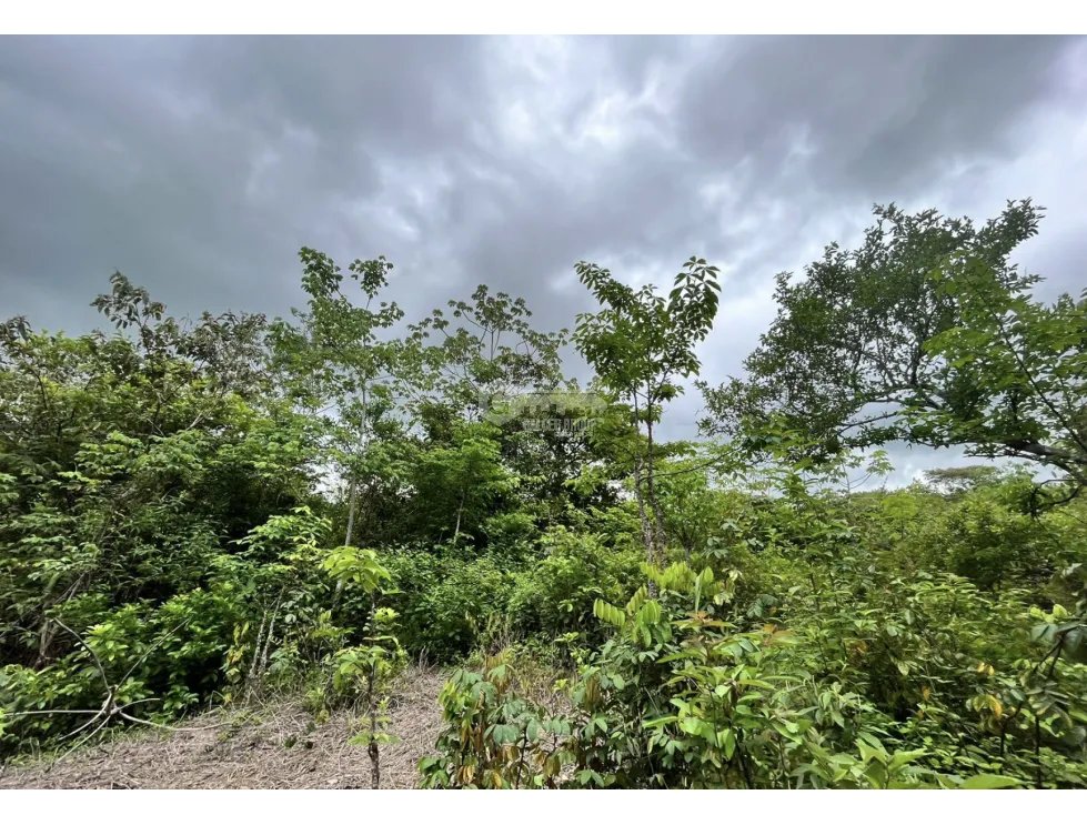 FINCA / COCLE / SANTA RITA / 11HECTAREAS / PLANO CON QUEBRADA JC