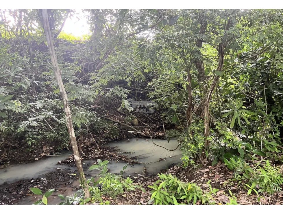 FINCA / COCLE / SANTA RITA / 11HECTAREAS / PLANO CON QUEBRADA JC