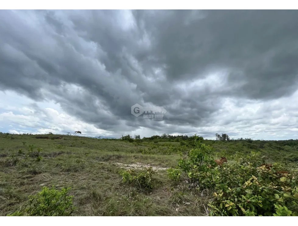 FINCA / COCLE / SANTA RITA / 11HECTAREAS / PLANO CON QUEBRADA JC