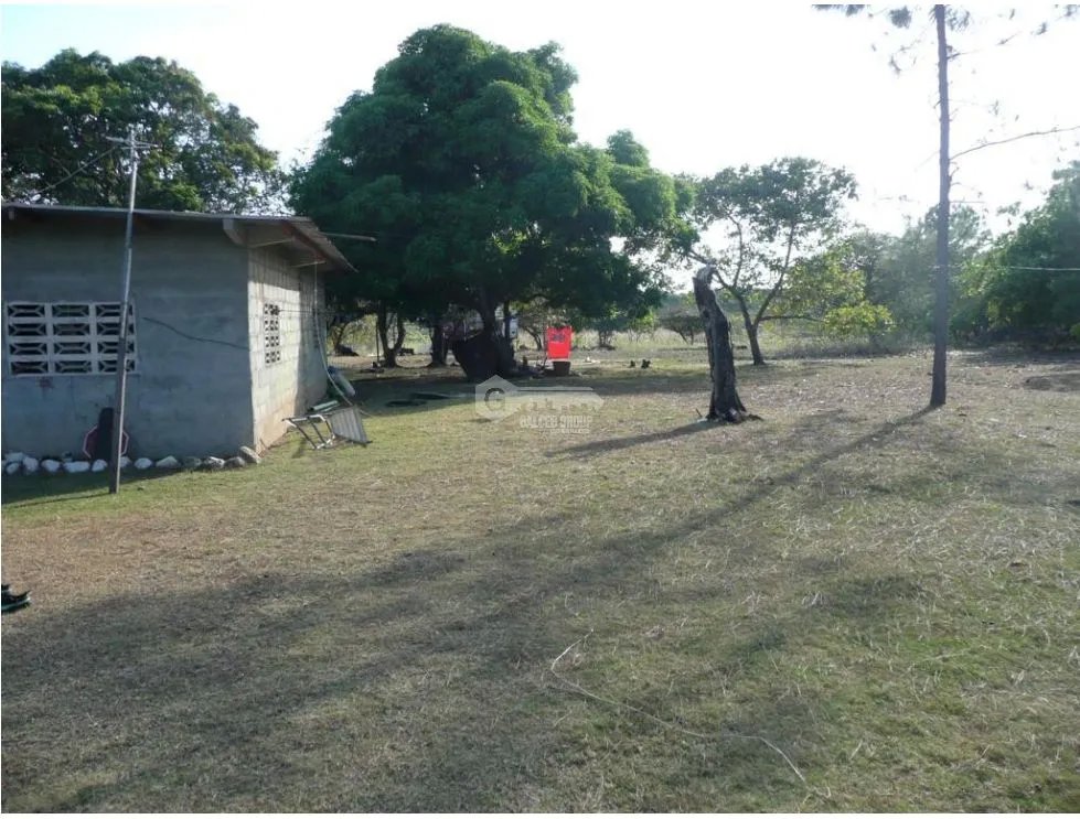 Building Lot for sale in San Carlos