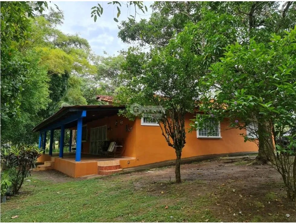 NUEVA GORGONA / 4 HECTAREAS  / 5 HABITACIONES / PISCINA