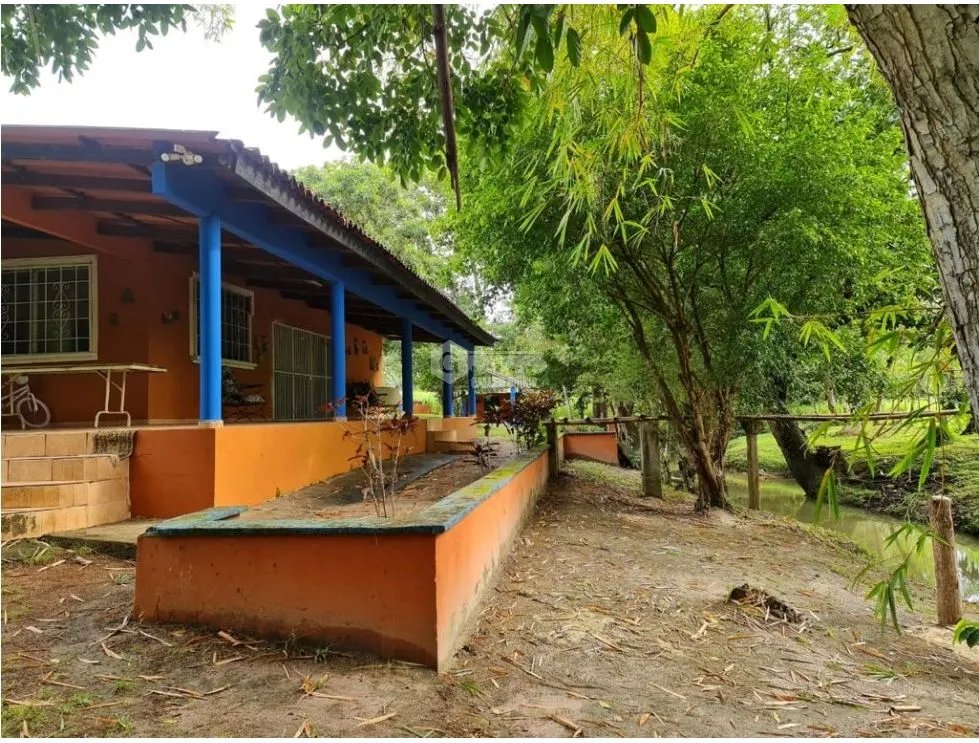 NUEVA GORGONA / 4 HECTAREAS  / 5 HABITACIONES / PISCINA