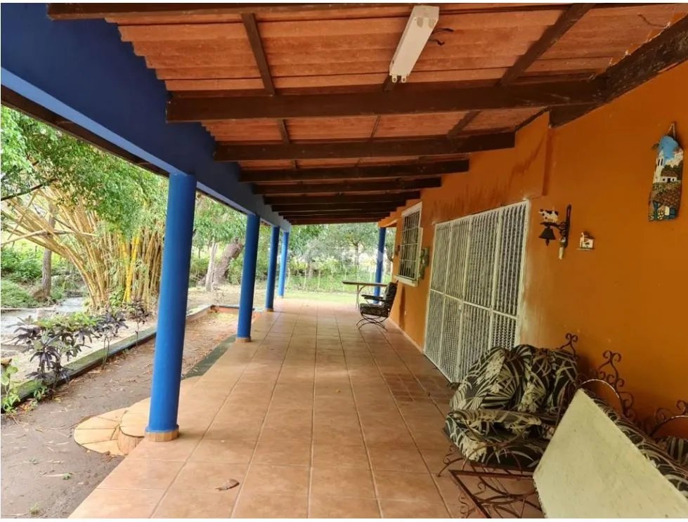 NUEVA GORGONA / 4 HECTAREAS  / 5 HABITACIONES / PISCINA