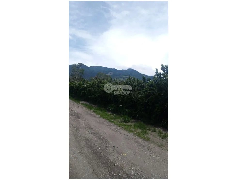 TERRENO / BOQUETE / PALMIRA / 5133 M2 / CLIMA FRIO