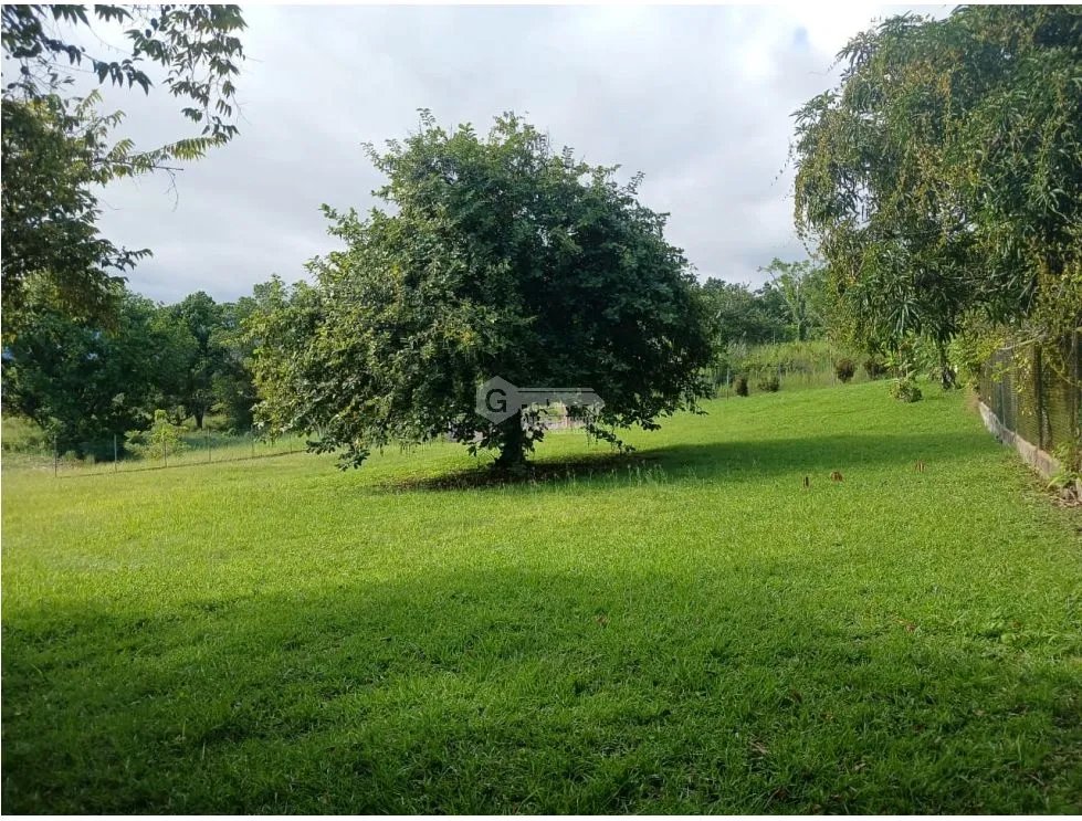 TERRENO / EL HIGO SAN CARLOS /1516M / GAZEBO DE CEMENTO