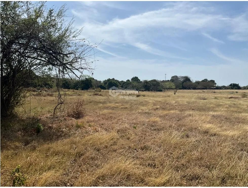 LAS TABLAS / FINCA / 3 HECTAREAS / POZO DE AGUA