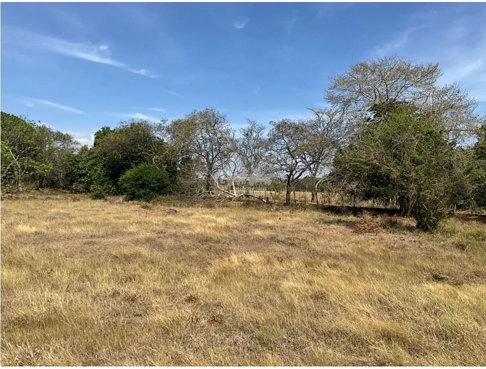LAS TABLAS / FINCA / 3 HECTAREAS / POZO DE AGUA
