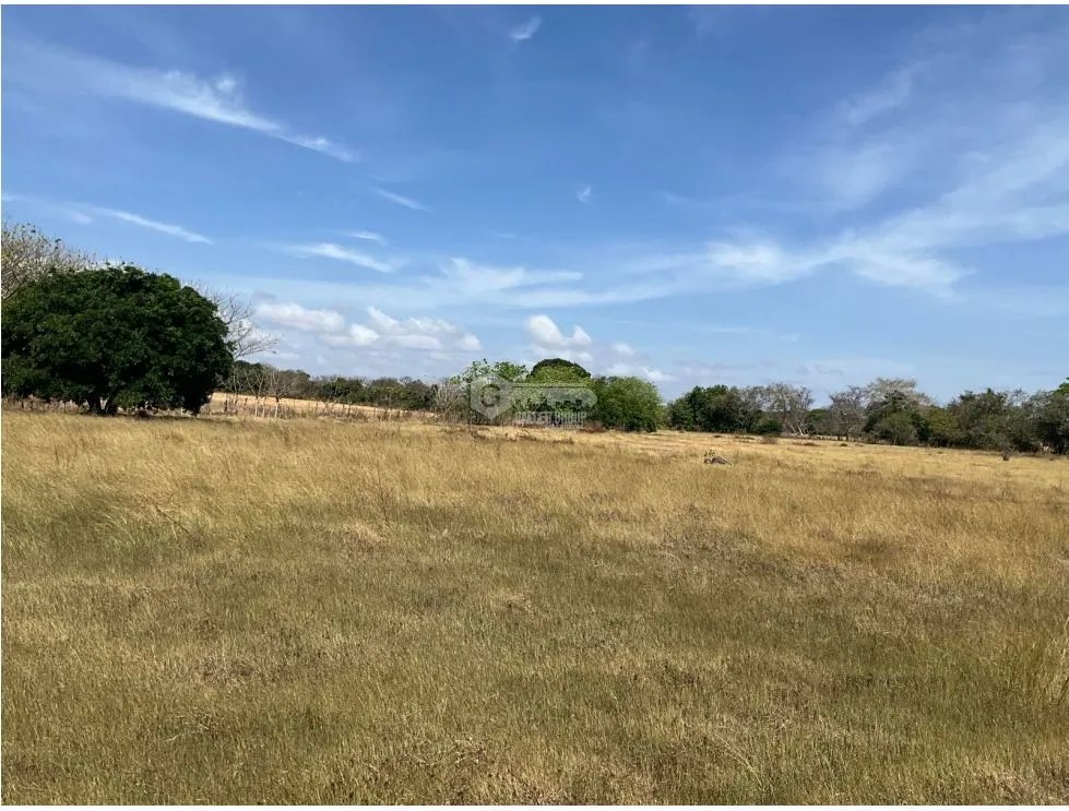 LAS TABLAS / FINCA / 3 HECTAREAS / POZO DE AGUA