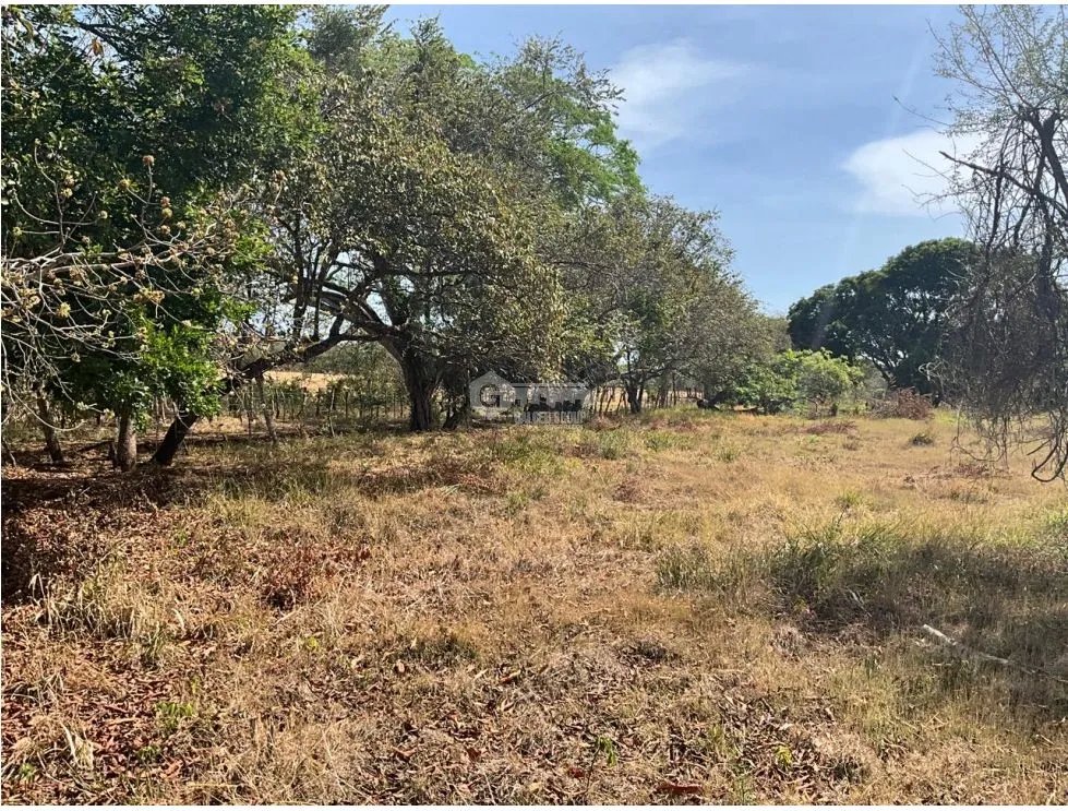 LAS TABLAS / FINCA / 3 HECTAREAS / POZO DE AGUA